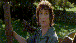 The Lord of the Rings The Fellowship of the Ring อภินิหารแหวนครองพิภพ (2001)