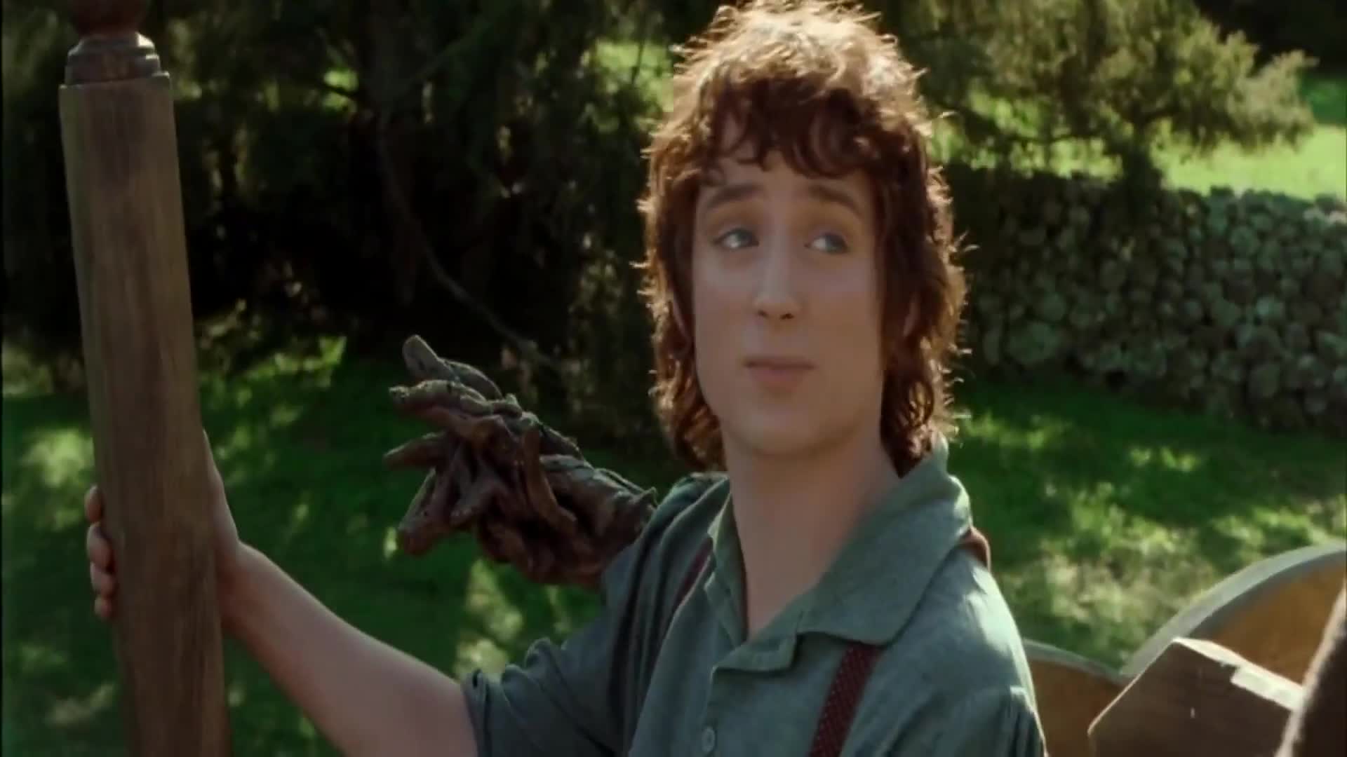 The Lord of the Rings The Fellowship of the Ring อภินิหารแหวนครองพิภพ (2001)