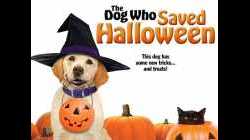 The Dog Who Saved Halloween บิ๊กโฮ่ง ซูเปอร์หมา ป่วนฮาโลวีน (2011)