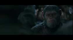 War for the Planet of the Apes มหาสงครามพิภพวานร (2017)