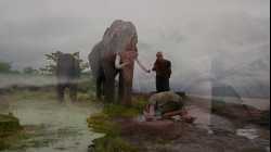 ต้มยํากุ้ง 1 The Protector 1 (2005)