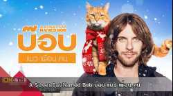 A Street Cat Named Bob บ๊อบ แมว เพื่อน คน (2016)