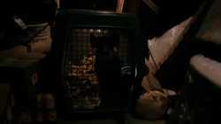 Babe 2 Pig in the City หมูน้อยหัวใจเทวดา (1998)