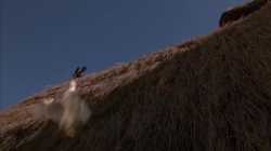 Babe 1 เบ๊บ หมูน้อยหัวใจเทวดา (1995)