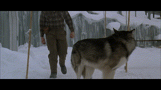 The Thing ไอ้ตัวเขมือบโลก [1982]
