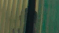 An Affair (2018) ครูร้อนซ่อนชู้ ซับไทย