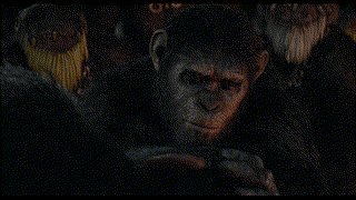 Dawn of The Planet of The Apes รุ่งอรุณแห่งพิภพวานร 2014