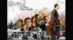 The Terminal เดอะ เทอร์มินัล ด้วยรักและมิตรภาพ (2004)