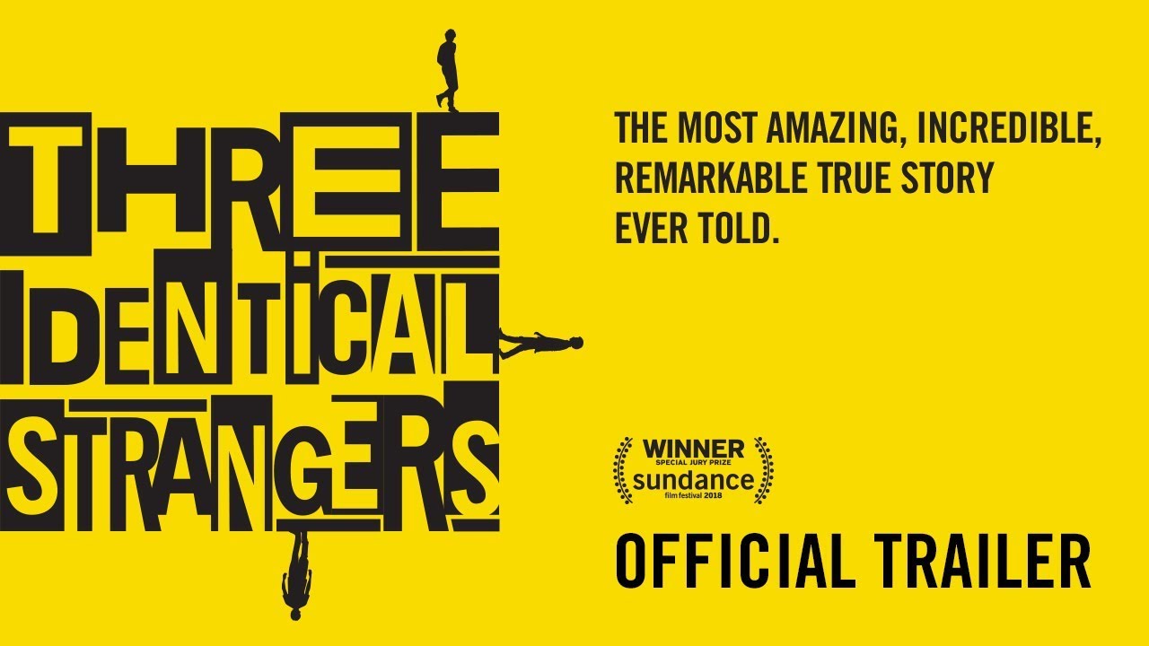 Three Identical Strangers แฝด 3 (2018)