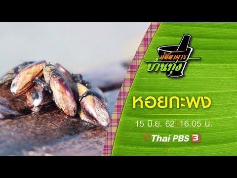 หอยกะพง : ภัตตาคารบ้านทุ่ง (15 มิ.ย.62)