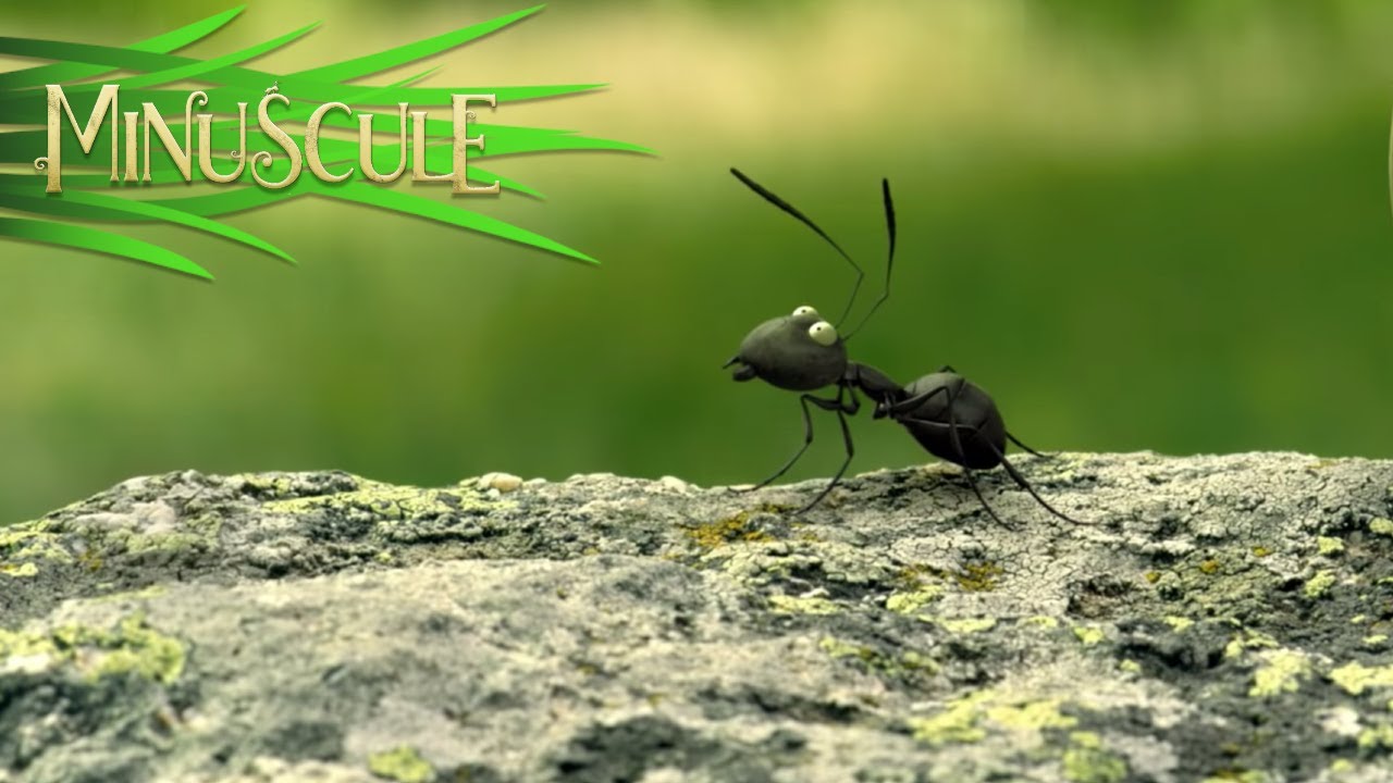 Minuscule Valley of the Lost Ants หุบเขาจิ๋วของเจ้ามด (2013)