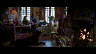 Maximum Risk คนอึดล่าสุดโลก (1996)