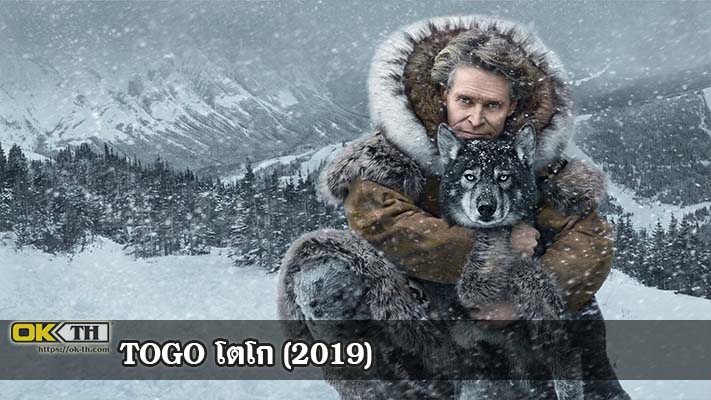 Togo หมาป่า โตโก (2019)