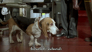Nutty Professor II The Klumps (2000) ตุ๊ต๊ะมหัศจรรย์ตระกูลคลัมพ์ 2